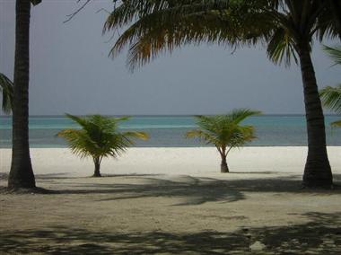 CLUBMED馬爾代夫卡尼島6天4晚自由行單訂房（不含機(jī)票）