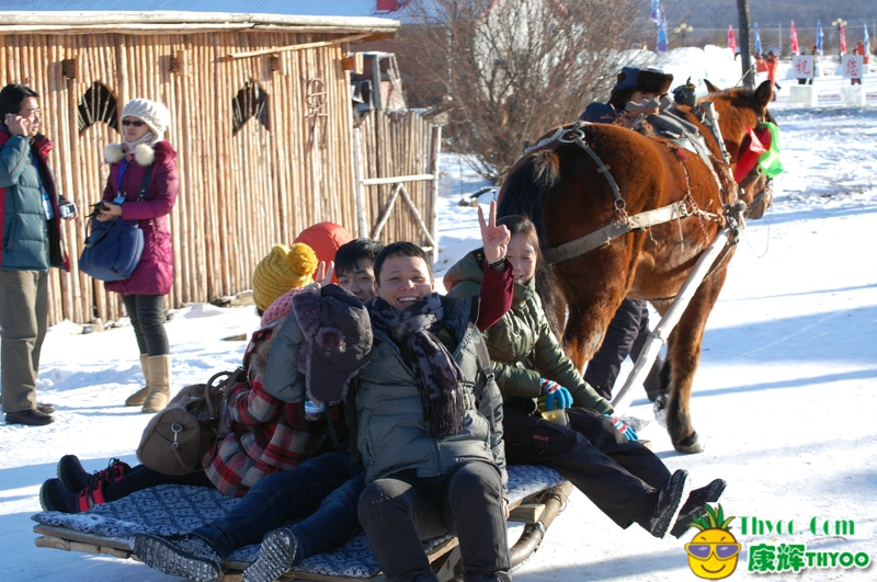 冬季呼倫貝爾雪橇吧