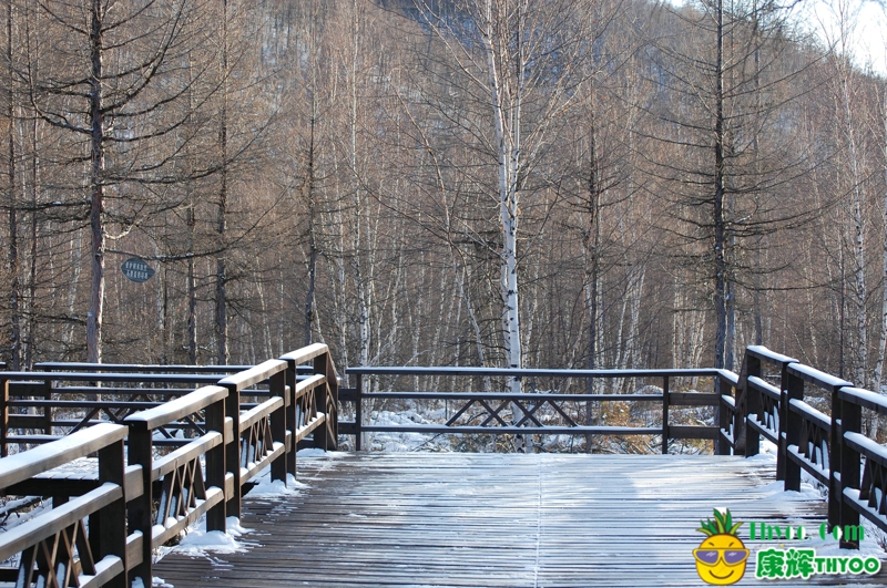 冬季呼倫貝爾風景圖