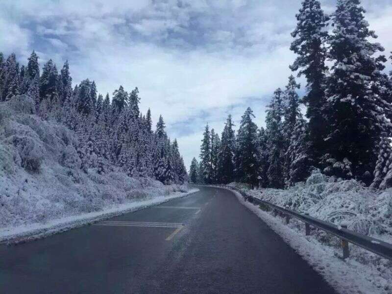 冬季九寨-康輝國內(nèi)部供圖2