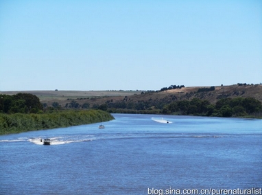 呼倫貝爾：我心心念念的草原啊