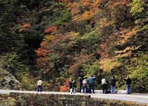 神農(nóng)架攝影藝術(shù)節(jié)